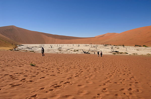 061122-091142-Namibiab_Web_x600