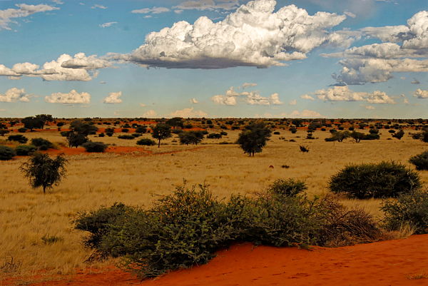 061118-171730-Namibiaa_Web_x600