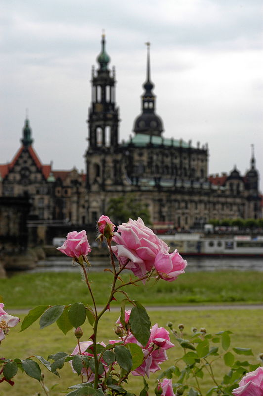 050602-145404-Dresden_Web_x800